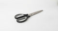 Ciseaux Professionnels Ergonomiques Inox (Lames 21cm) (Unité)