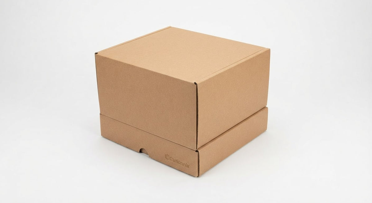 Boîte Postale E-Commerce à Montage Rapide (M - 350x220x120 mm (Unité))